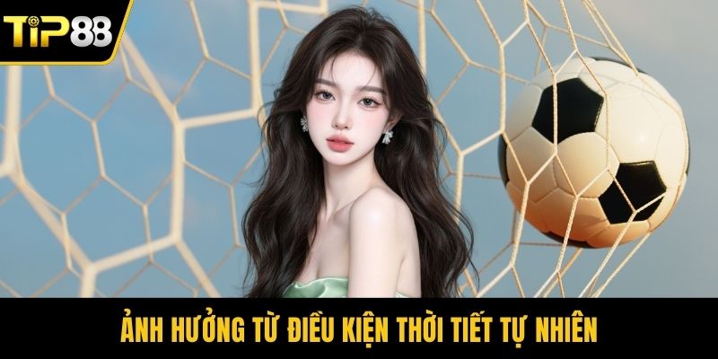 Ảnh hưởng từ điều kiện thời tiết tự nhiên