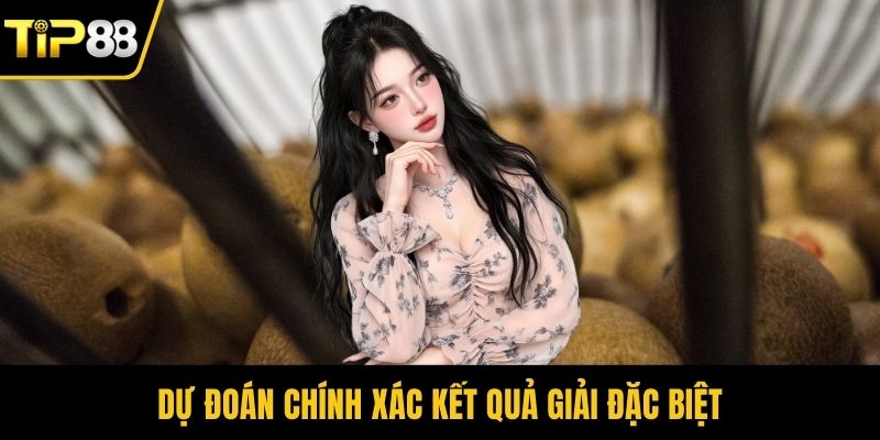 Dự đoán chính xác kết quả giải đặc biệt